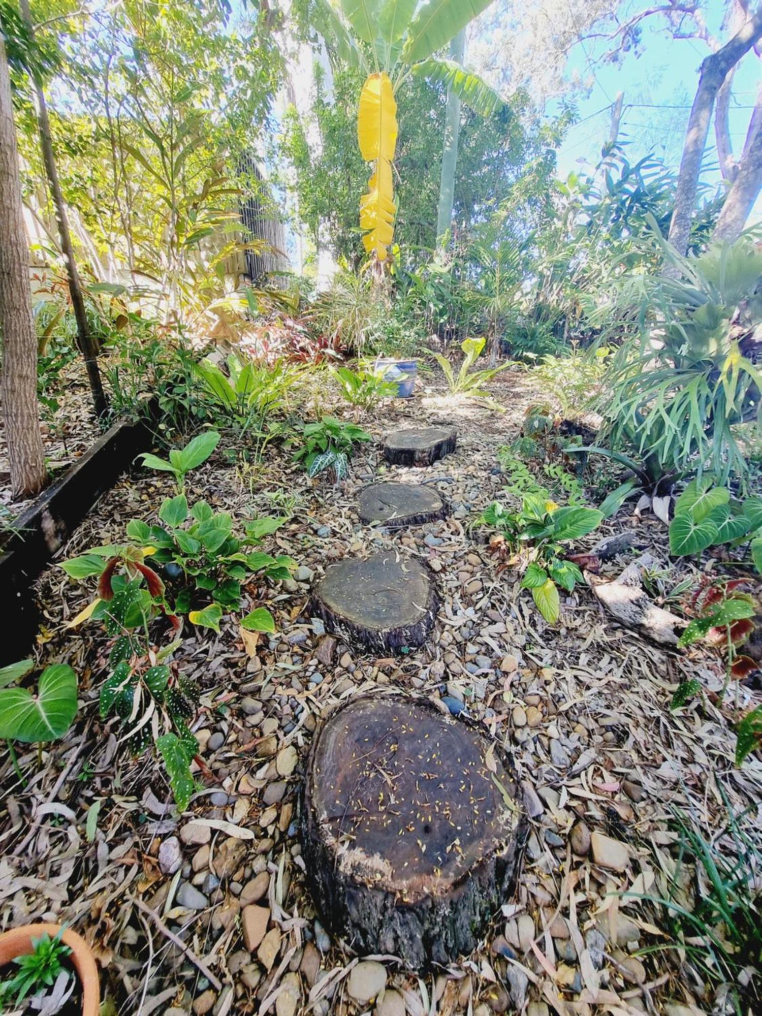 Karragarra IslandBirdsong Retreat - On Lamb Island住宿加早餐旅馆 外观 照片